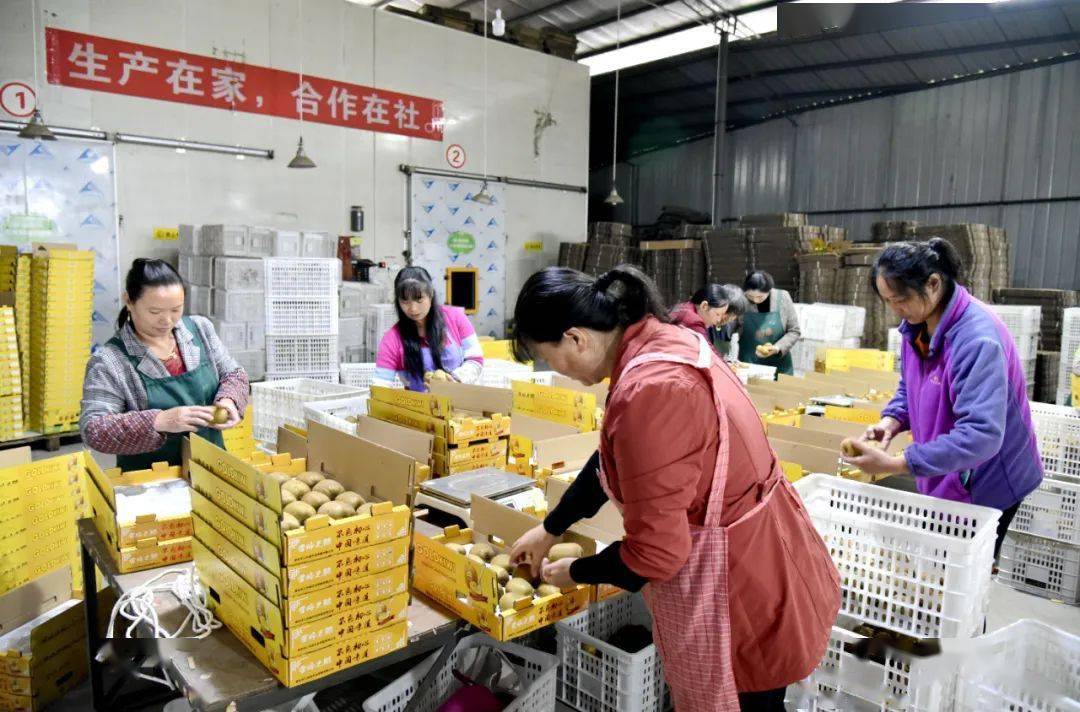 五个故事，诠释四川邮政人的三农情