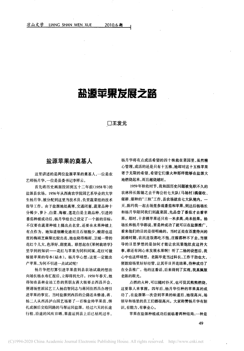 盐源苹果发展之路