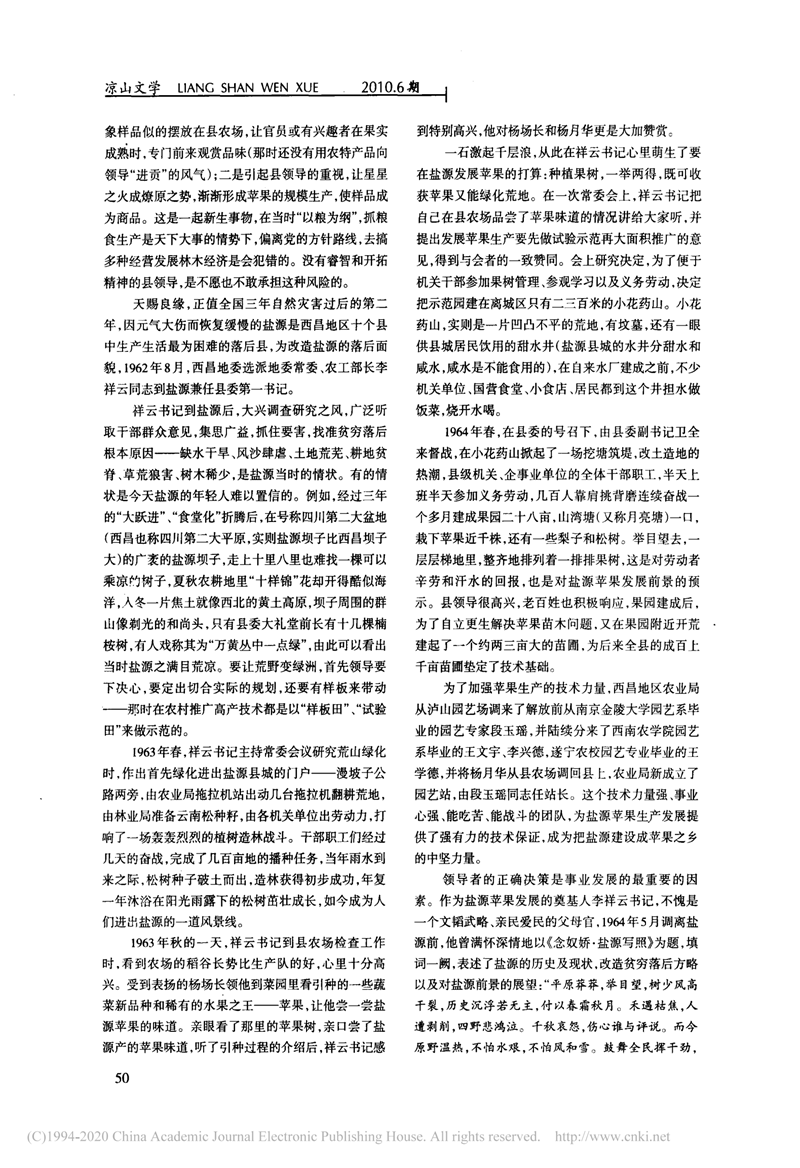 盐源苹果发展之路