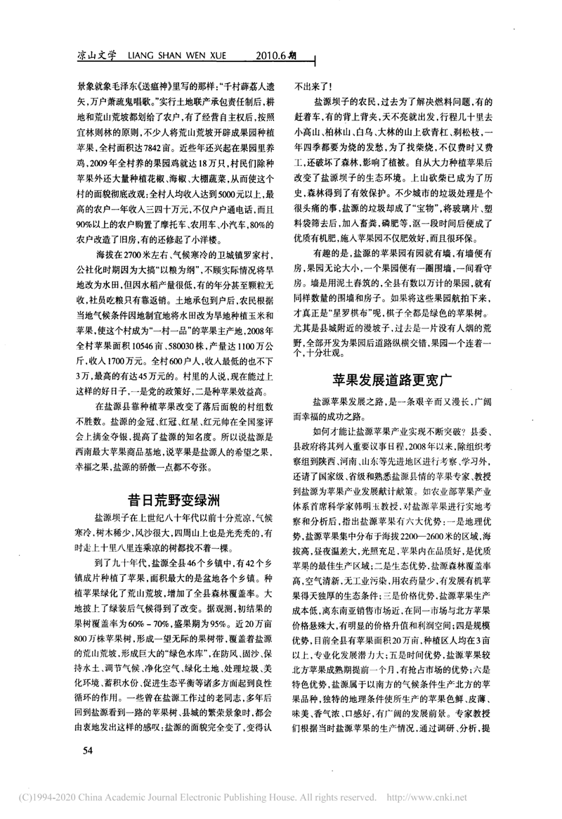 盐源苹果发展之路