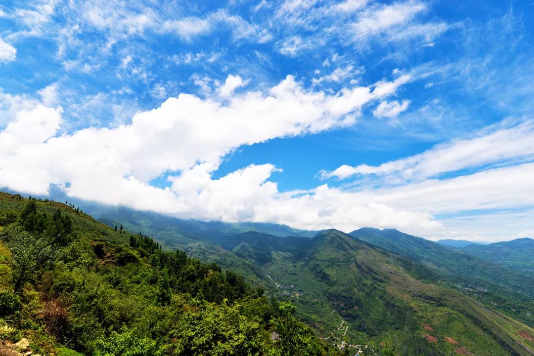5月，汉源甜樱桃，这是初恋雅女的味道
