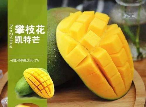 9月，攀枝花芒果，三线建设精神光芒万丈