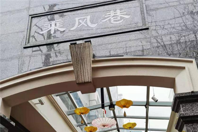 乘风破浪的巷子，成都新普网红打卡地