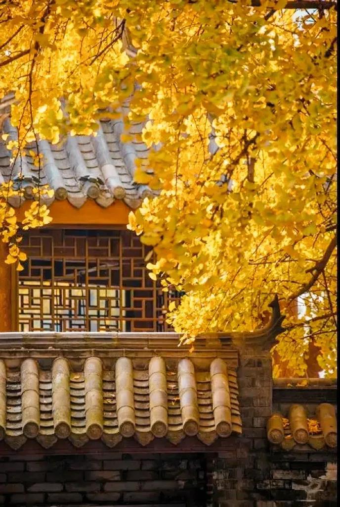 成都画院，没去过不要说自己是成都人