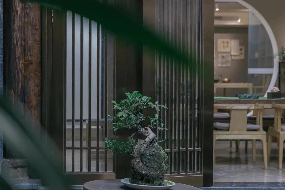 在成都玉林的街道上，转角遇到爱