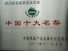 比比看谁是真正的砂梨之王：广元苍溪雪梨