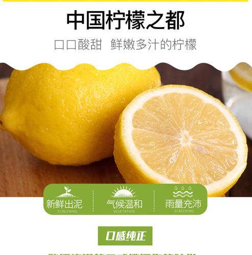 酸酸甜甜就是我：资阳安岳柠檬