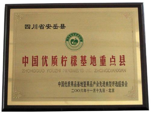 酸酸甜甜就是我：资阳安岳柠檬