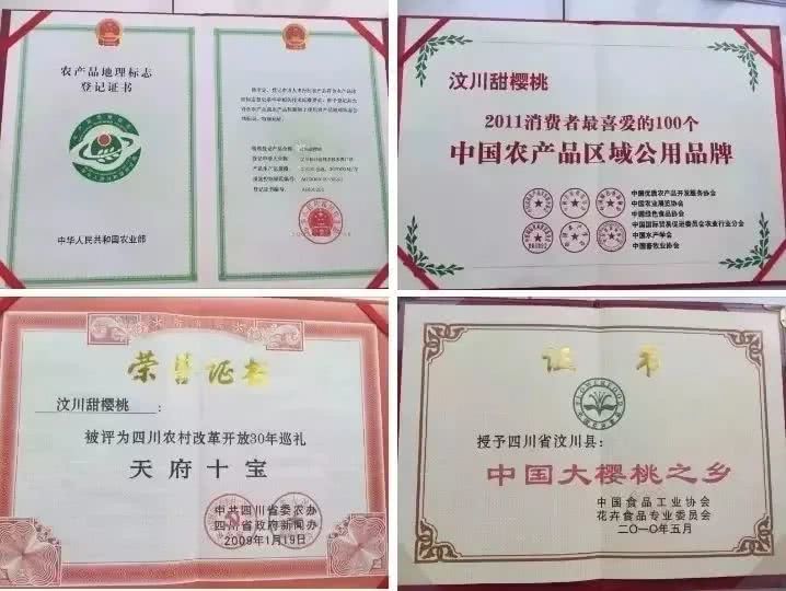 天府十宝：阿坝汶川甜樱桃