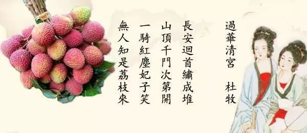 和杨贵妃一起游戏红尘：泸州合江荔枝