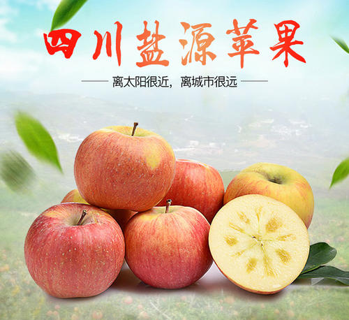 大凉山送来的平安祝福：凉山盐源苹果