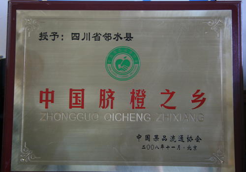 你肯定没吃过全橙宴：广安邻水脐橙