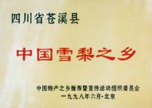 比比看谁是真正的砂梨之王：广元苍溪雪梨