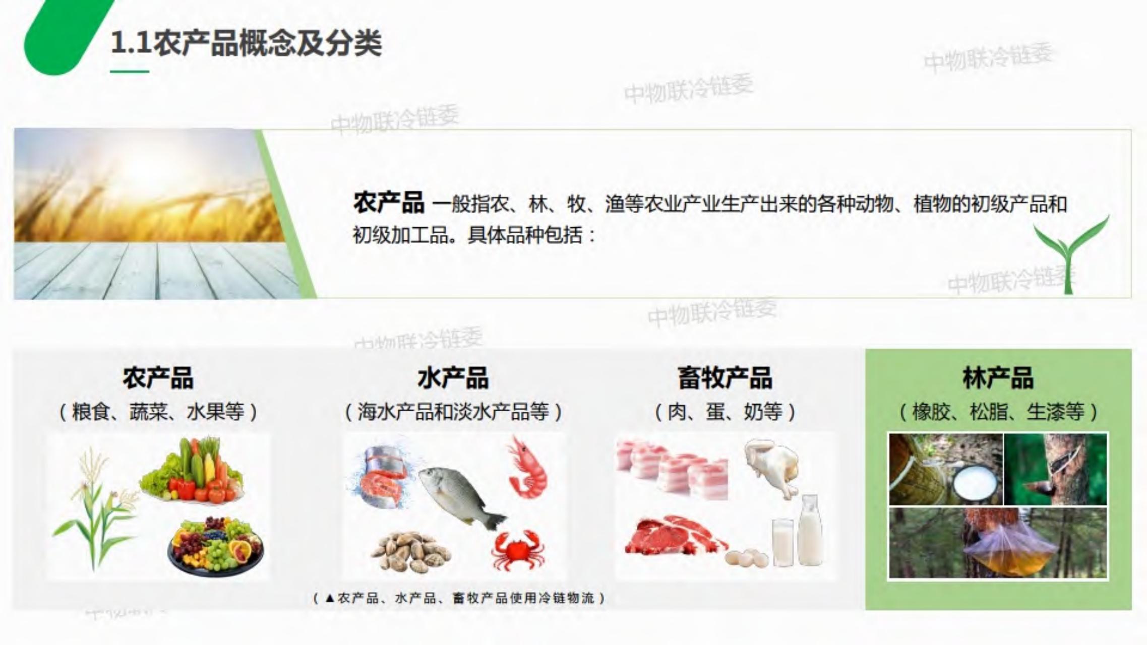 2019年农产品产地冷链研究报告