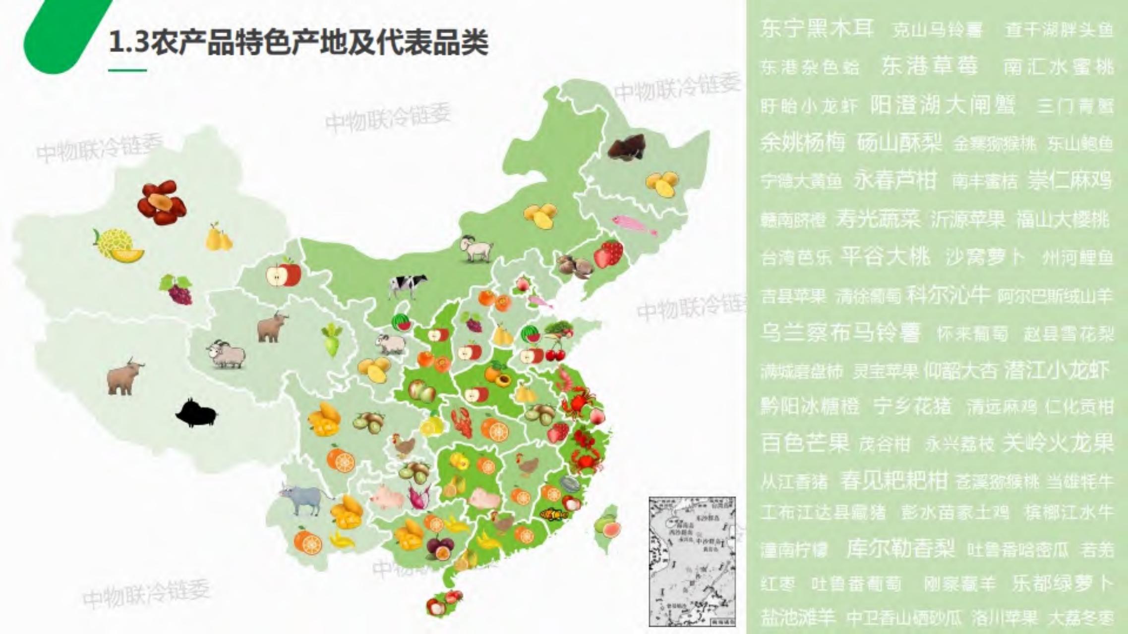 2019年农产品产地冷链研究报告