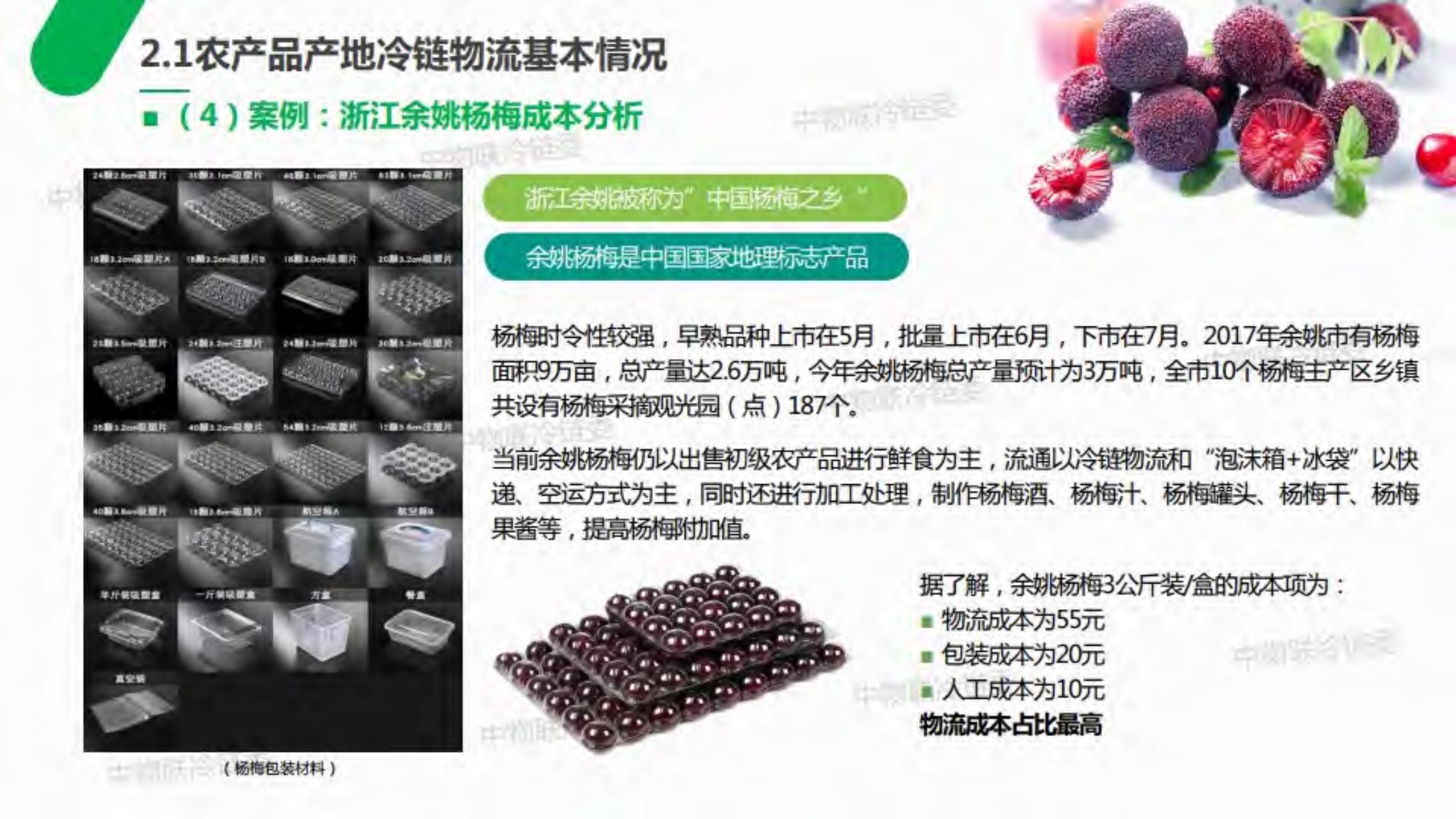 2019年农产品产地冷链研究报告