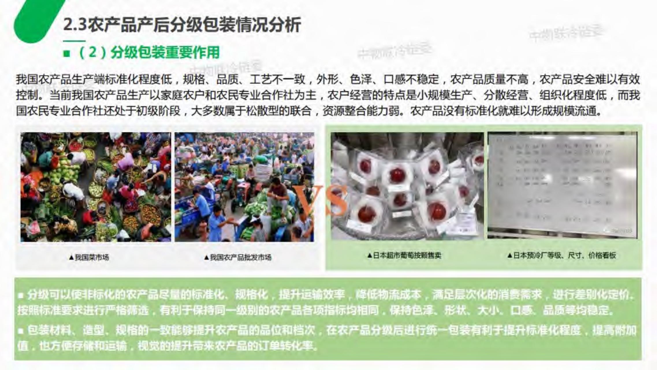 2019年农产品产地冷链研究报告