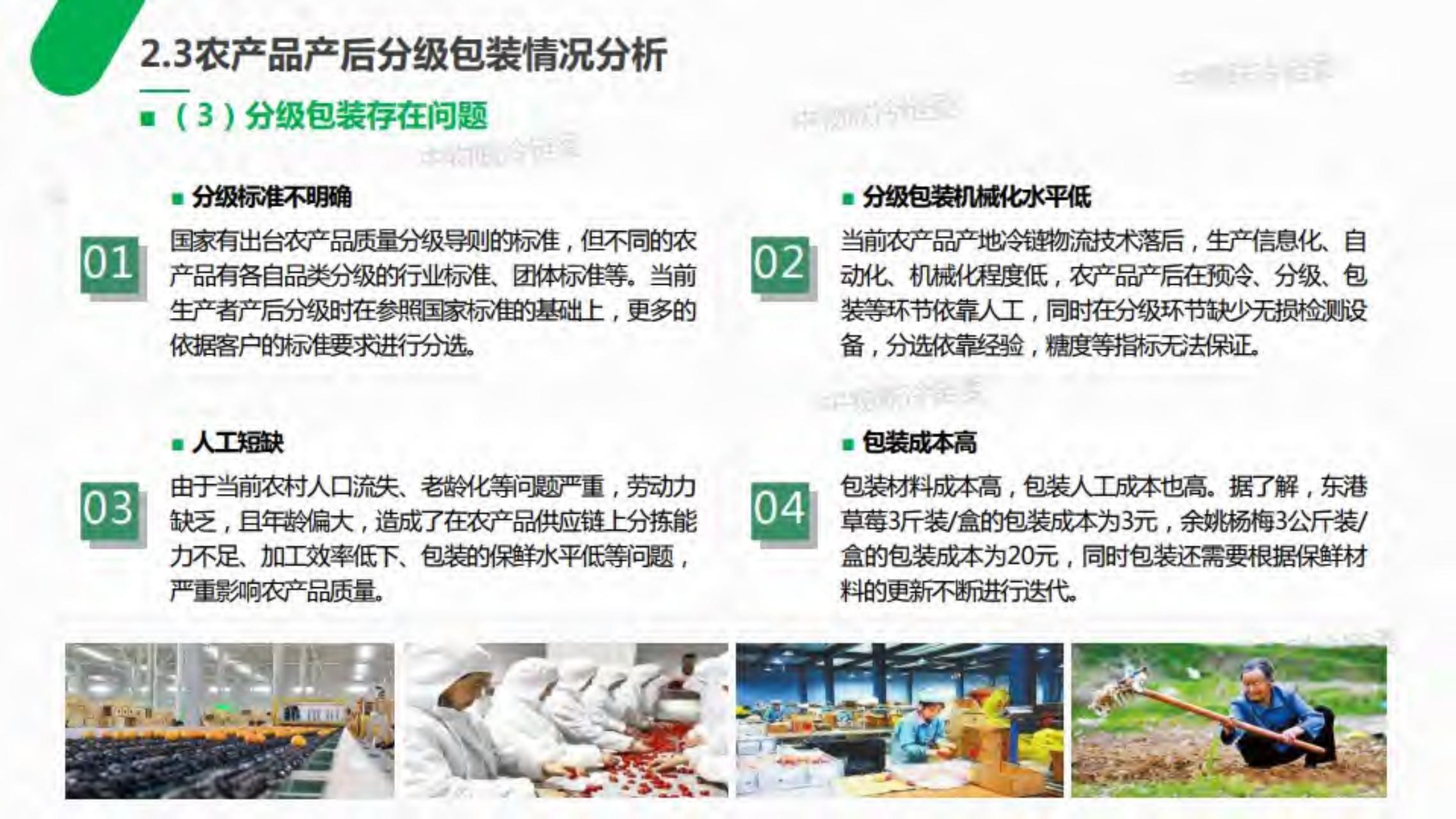 2019年农产品产地冷链研究报告