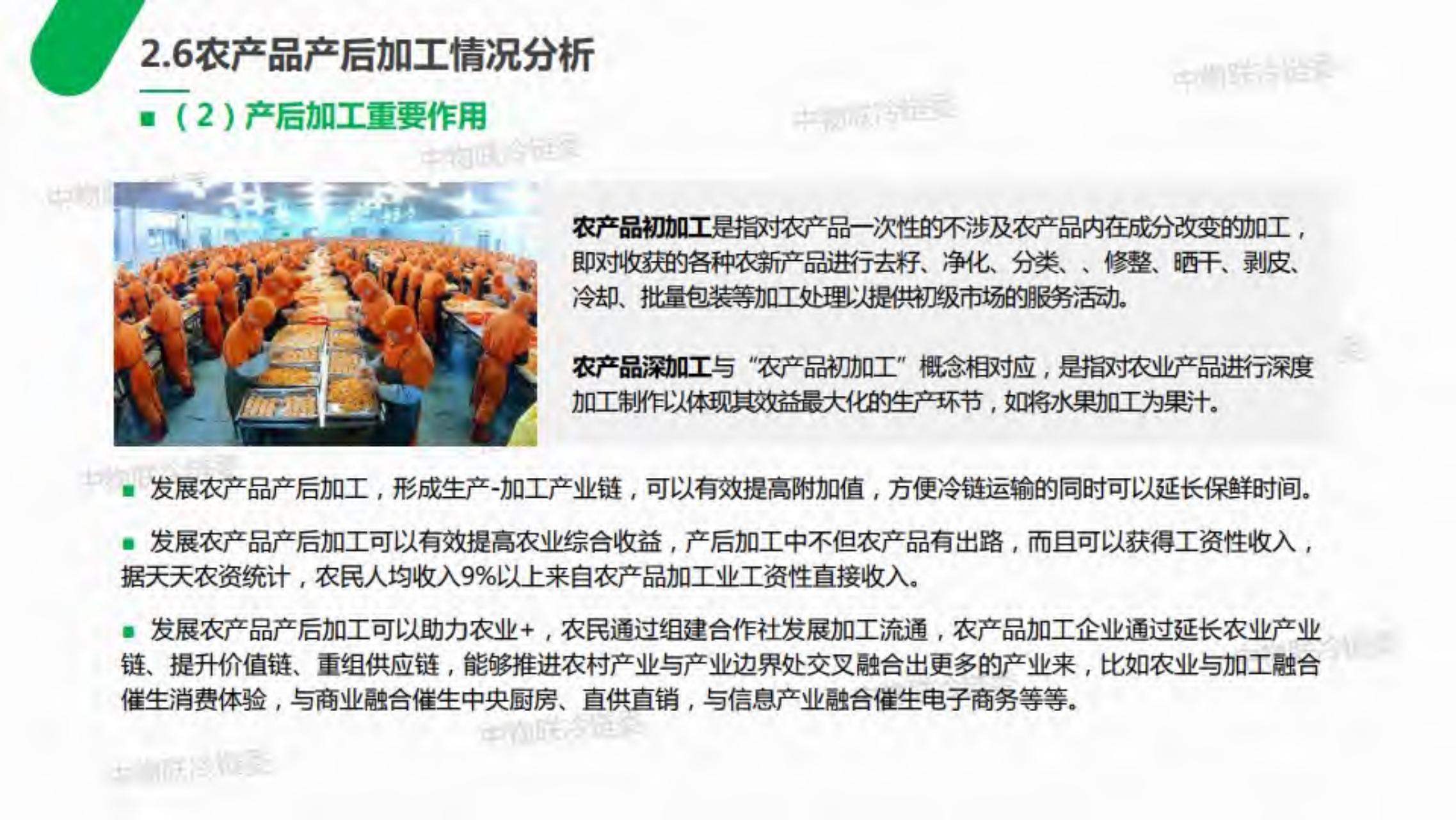 2019年农产品产地冷链研究报告