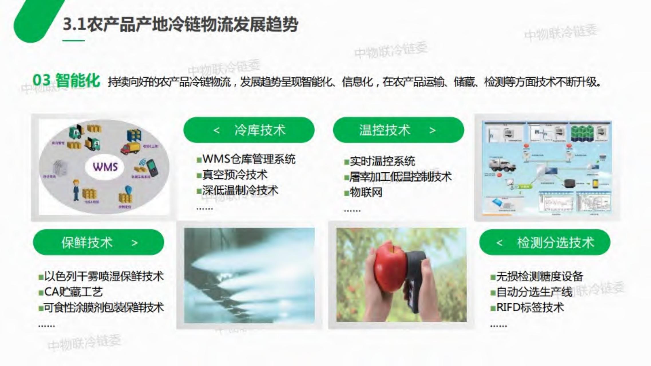 2019年农产品产地冷链研究报告