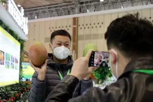 阳光的味道！“攀果”亮相第八届四川农业博览会