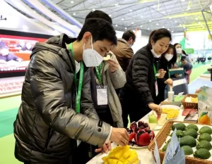 阳光的味道！“攀果”亮相第八届四川农业博览会